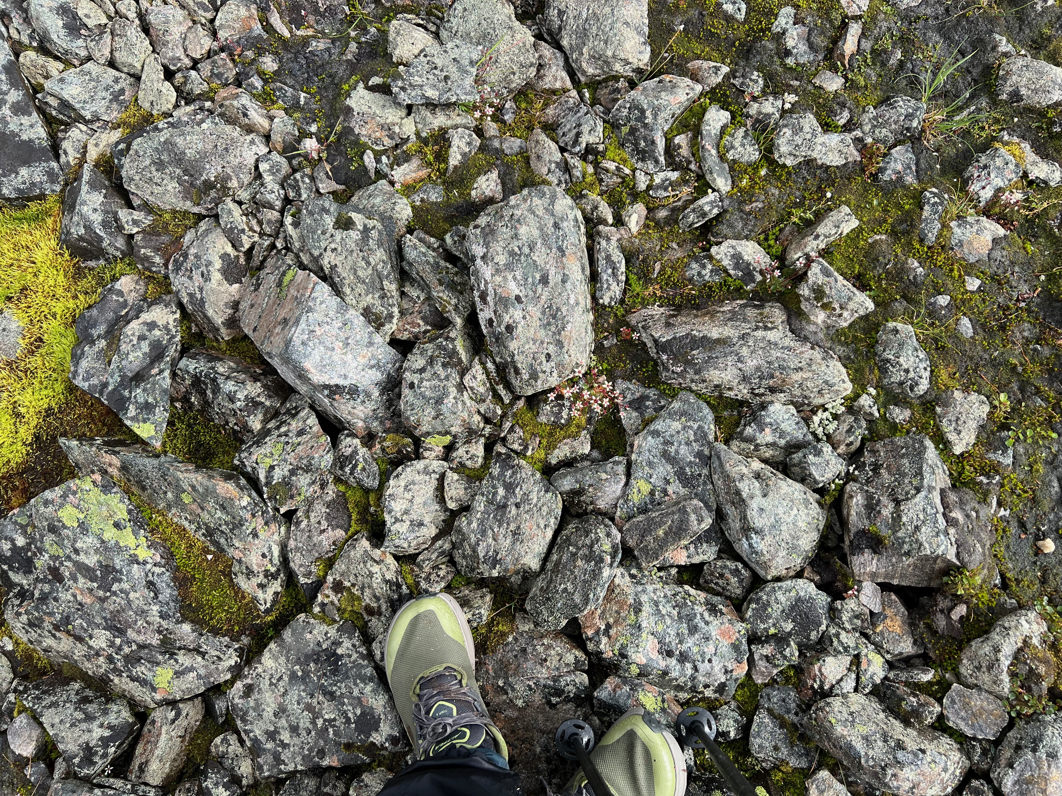 IMG_0618.jpeg