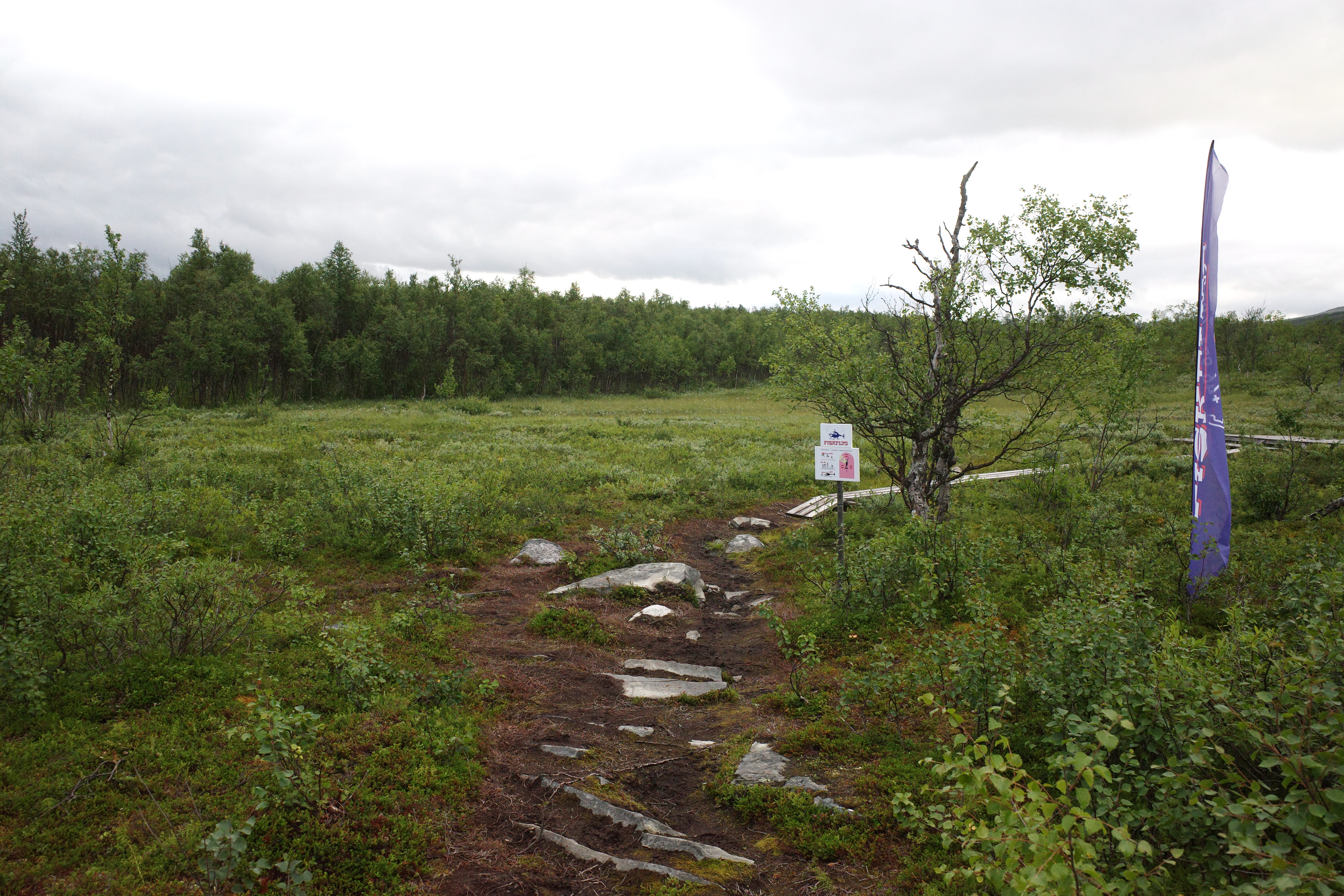 R0003336.jpg