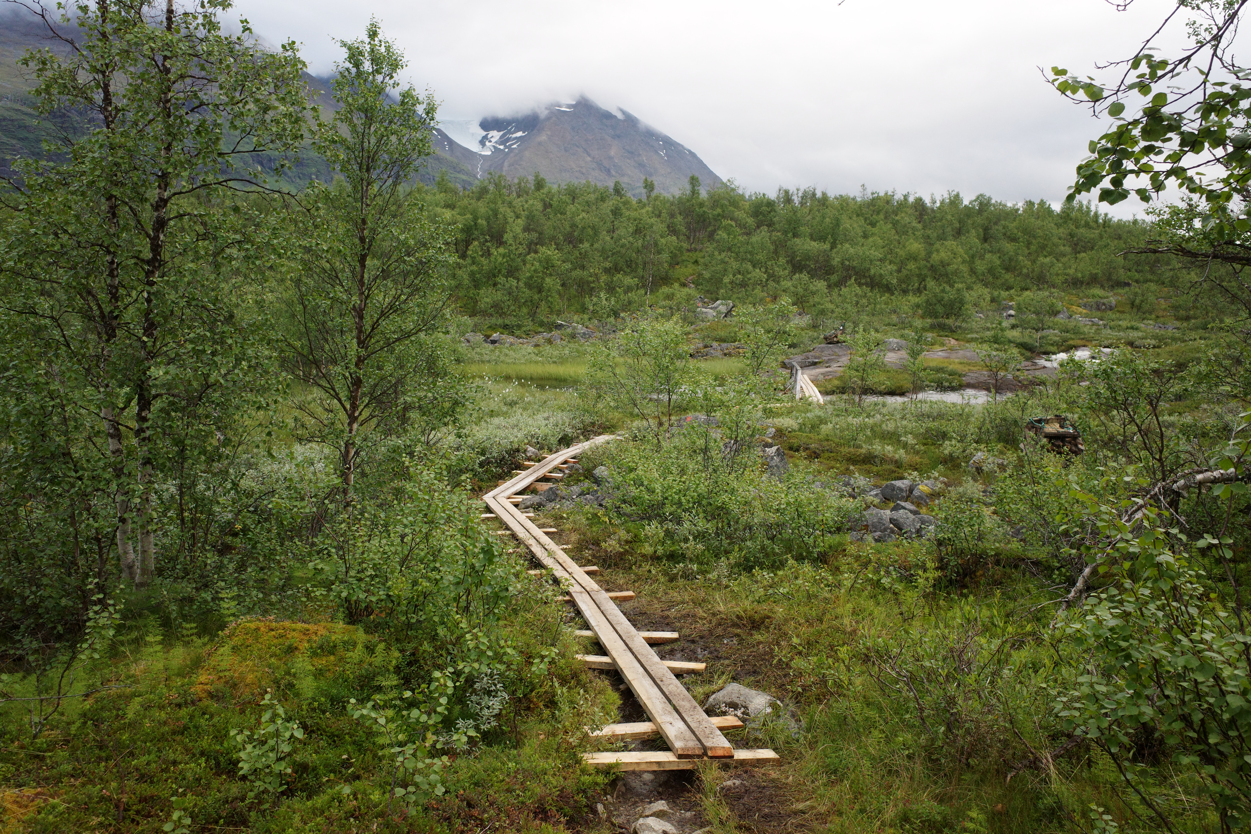 R0003339.jpg