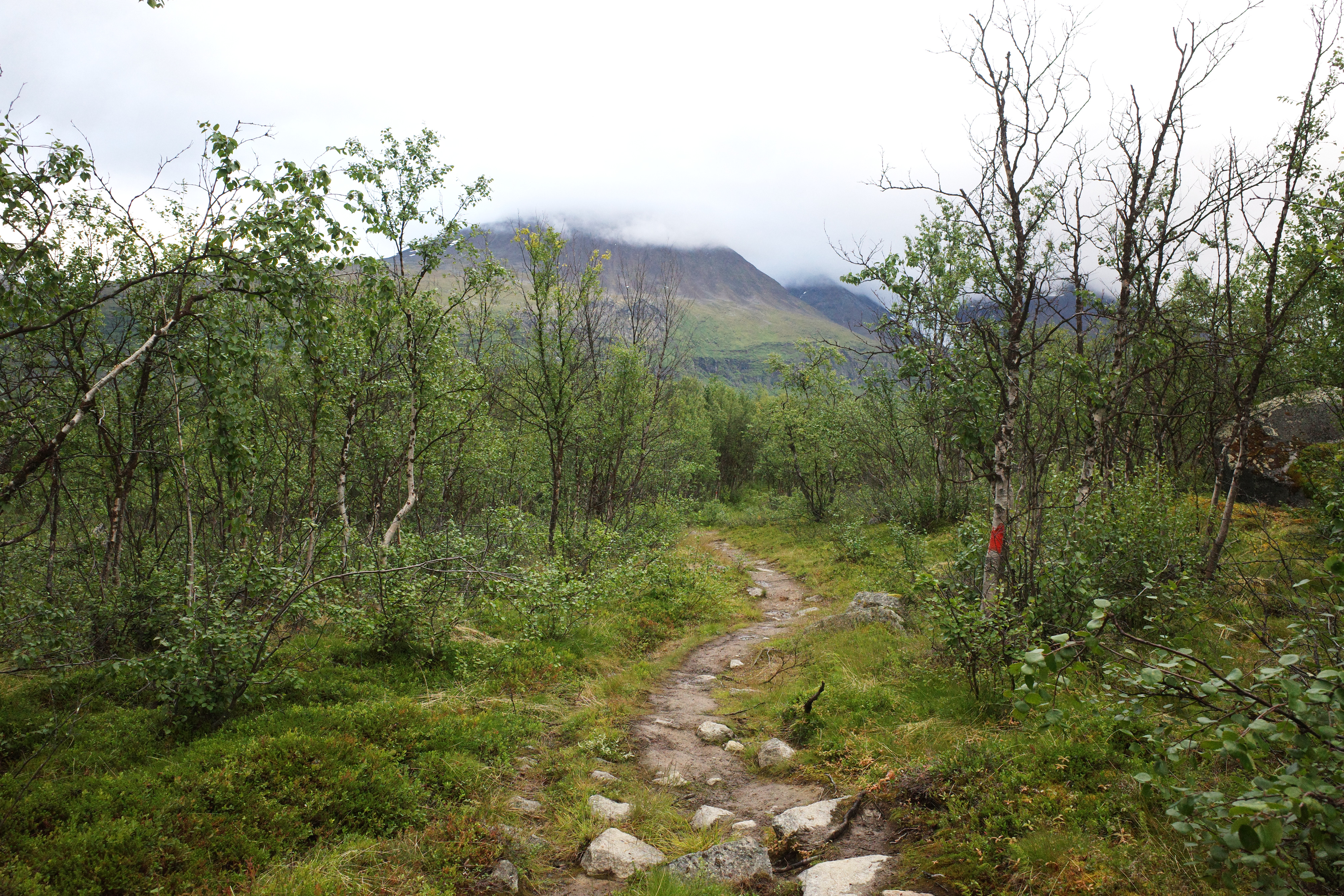 R0003347.jpg