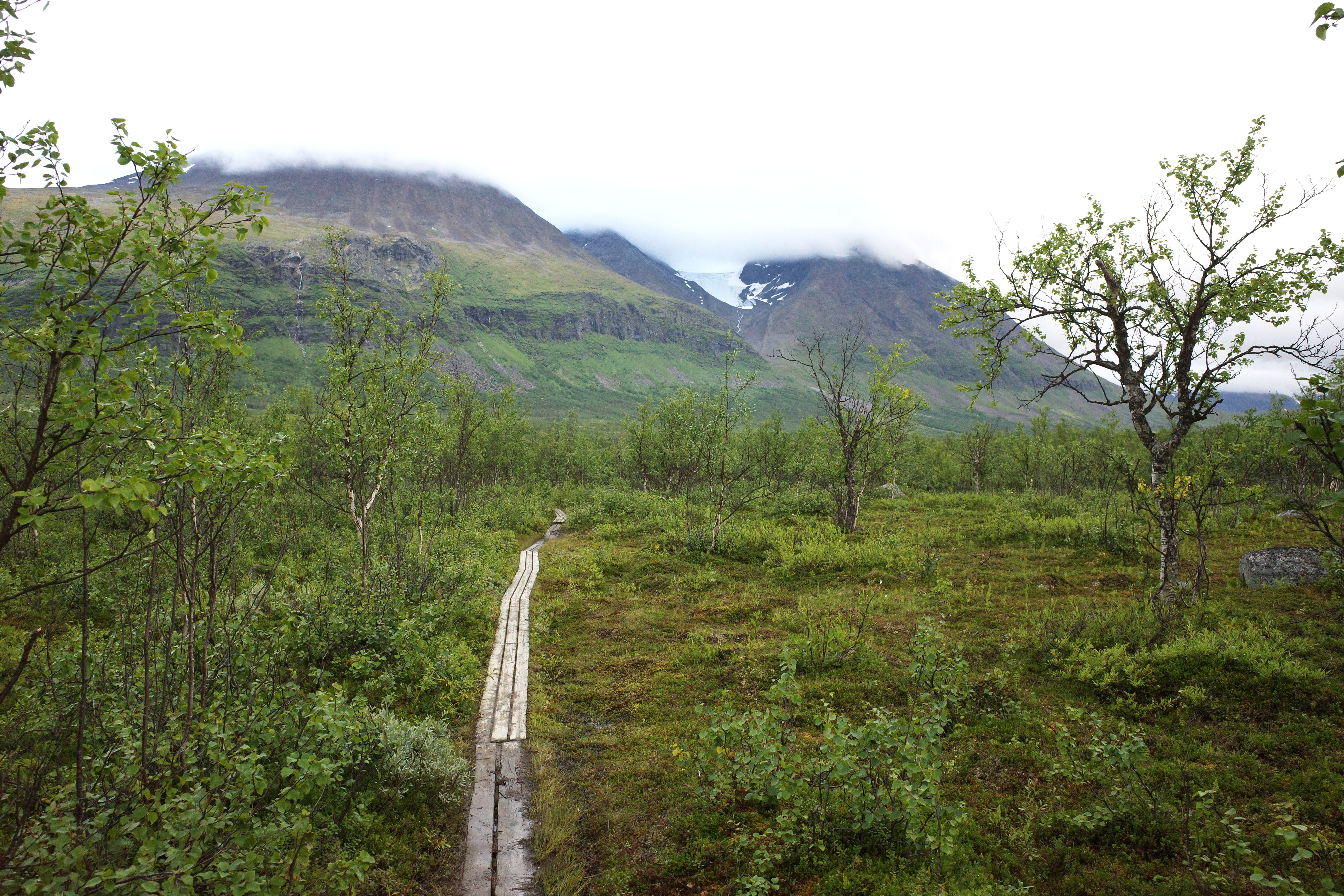 R0003353.jpg