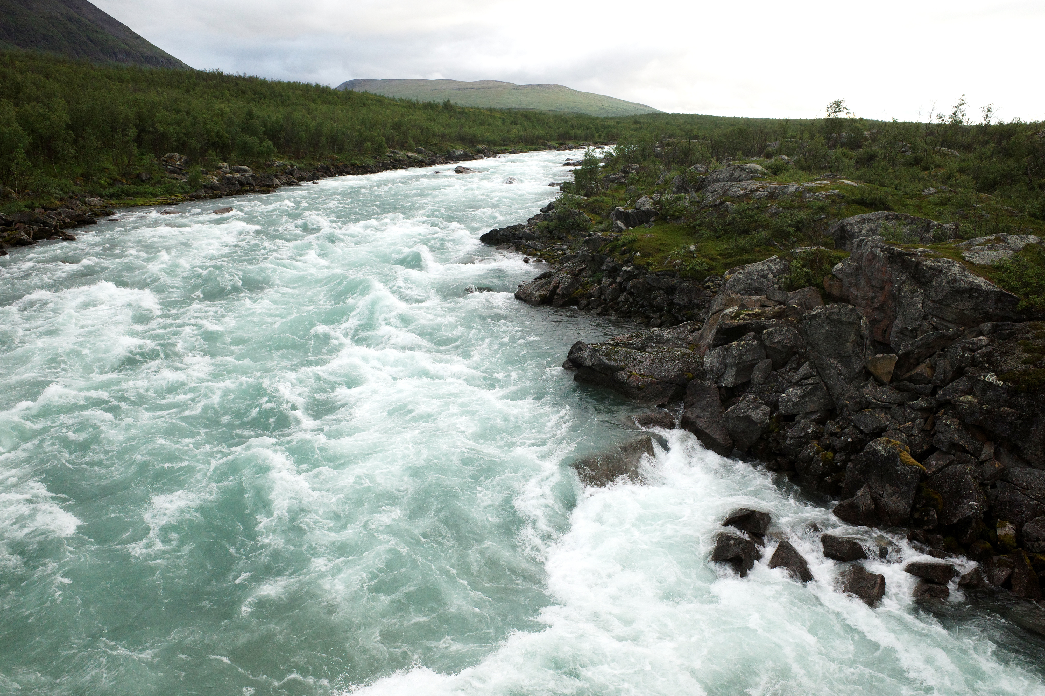 R0003391.jpg