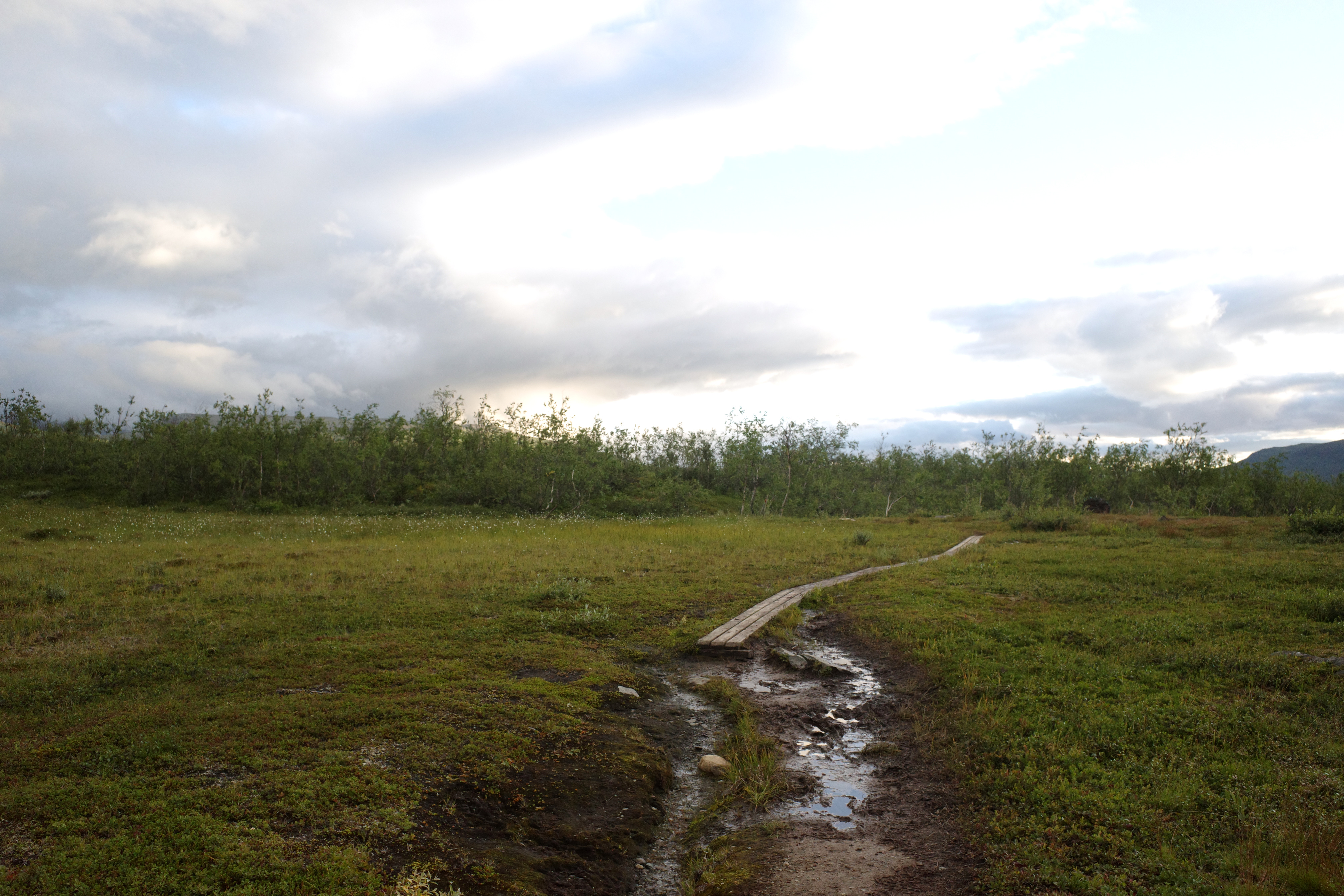R0003404.jpg