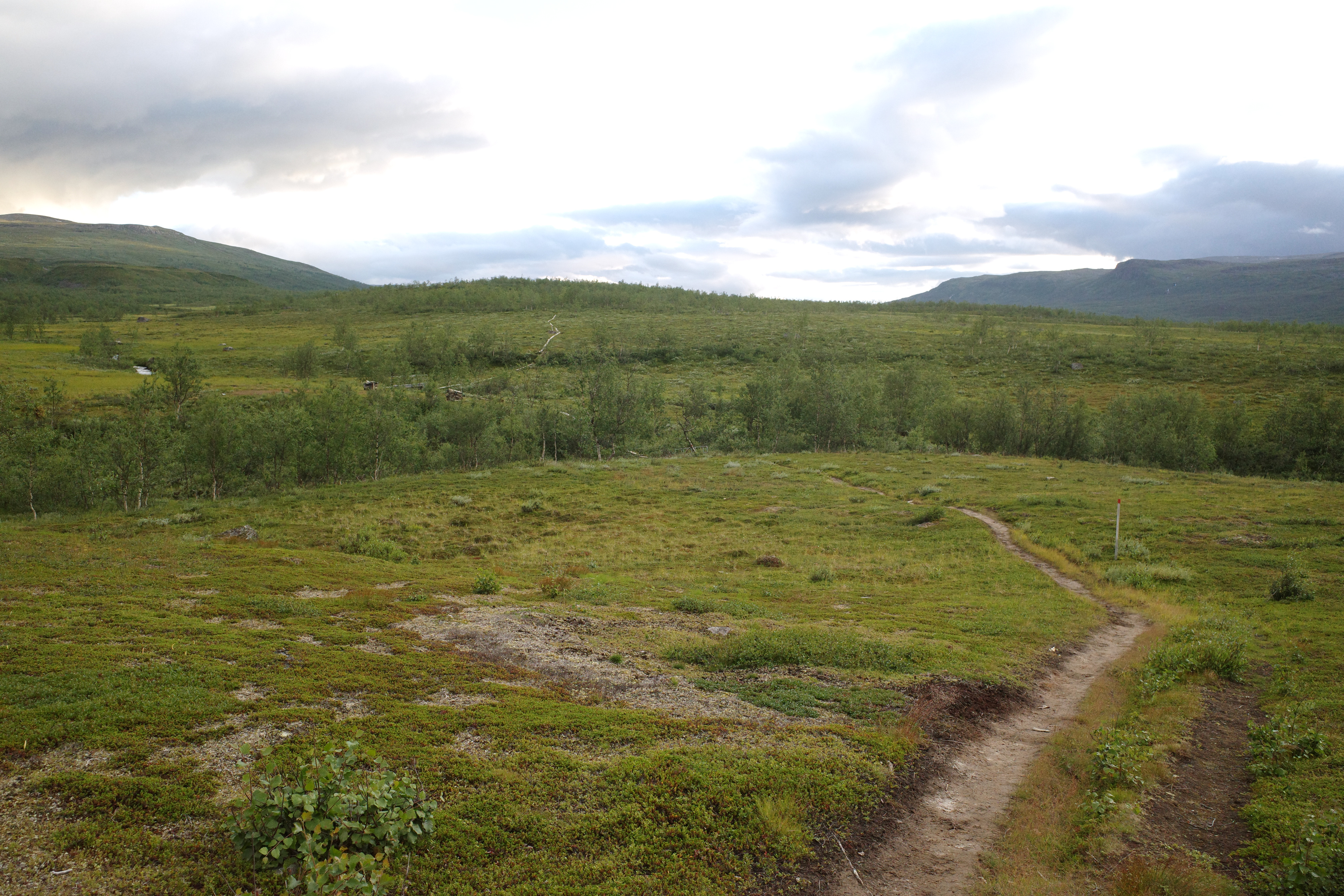R0003413.jpg