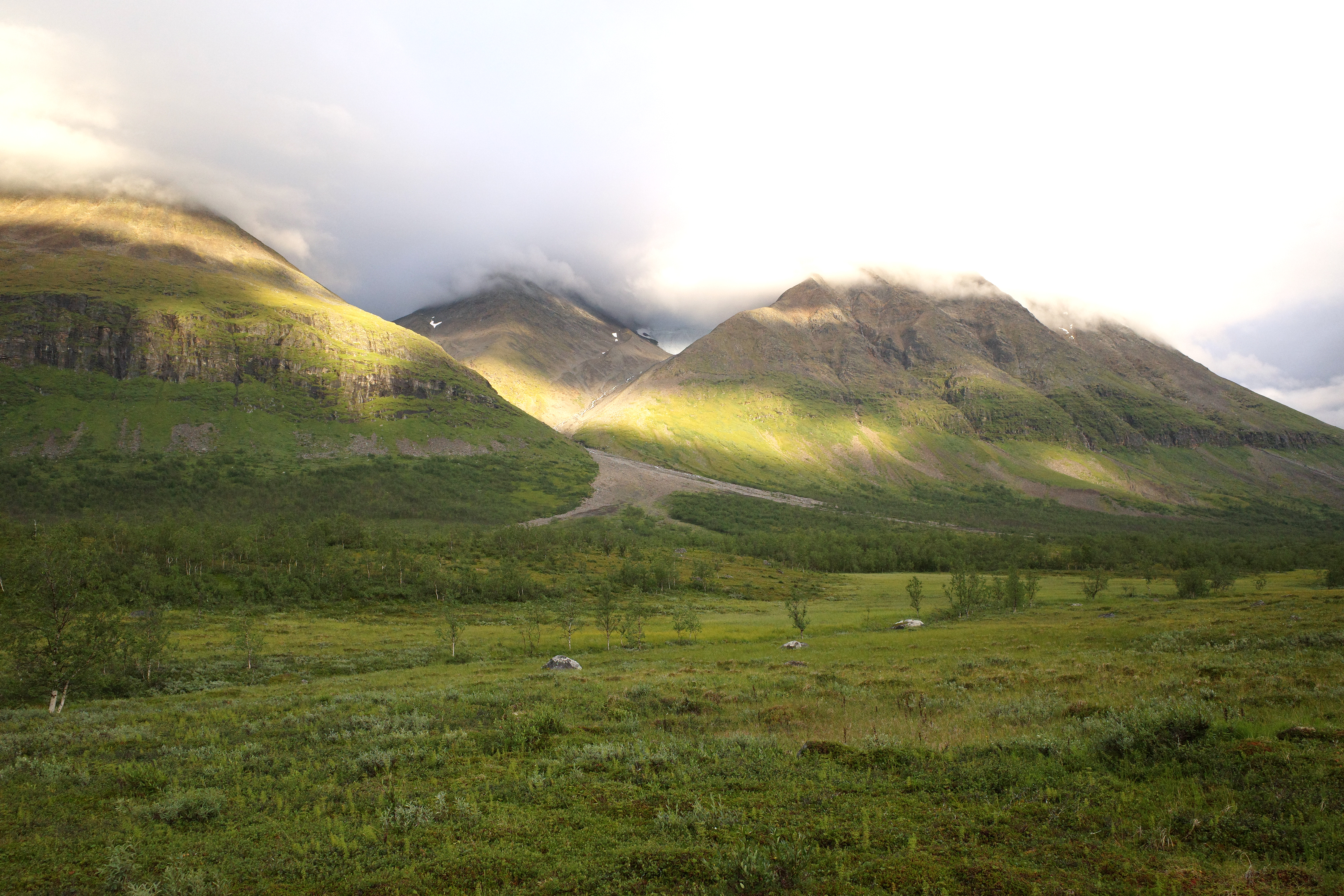 R0003419.jpg