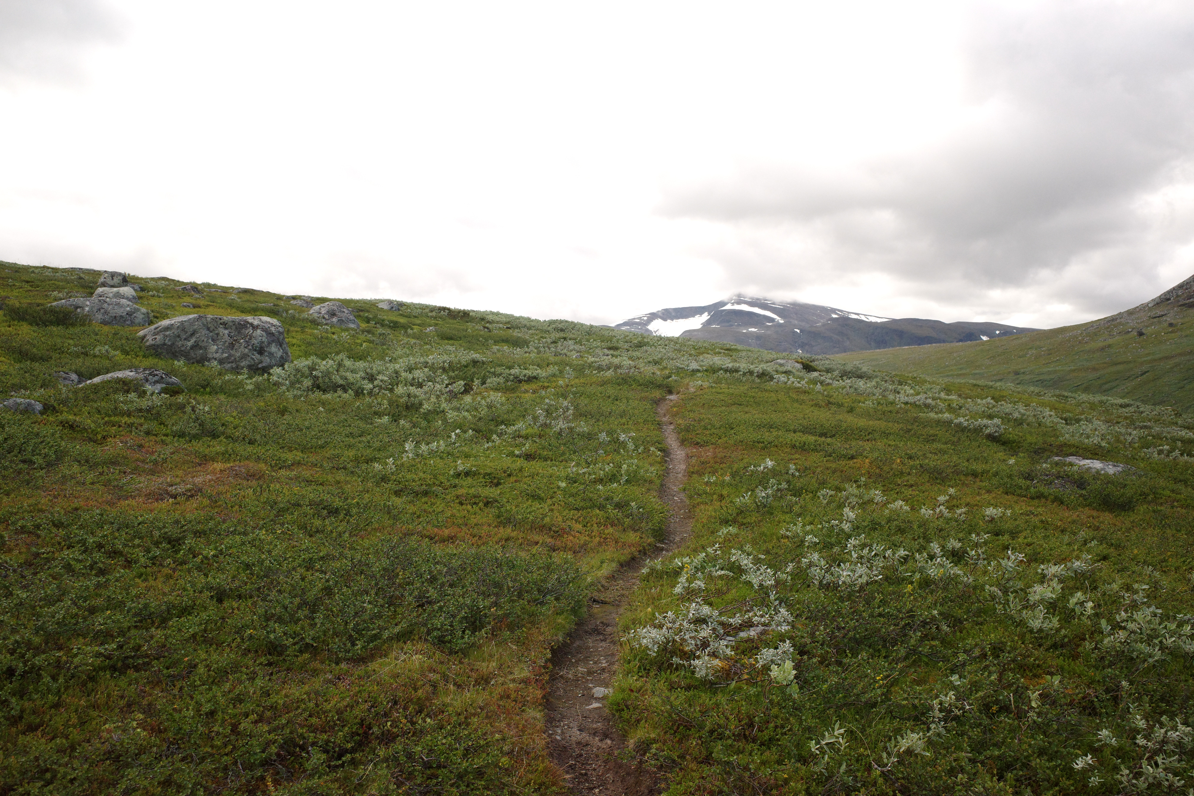R0003463.jpg