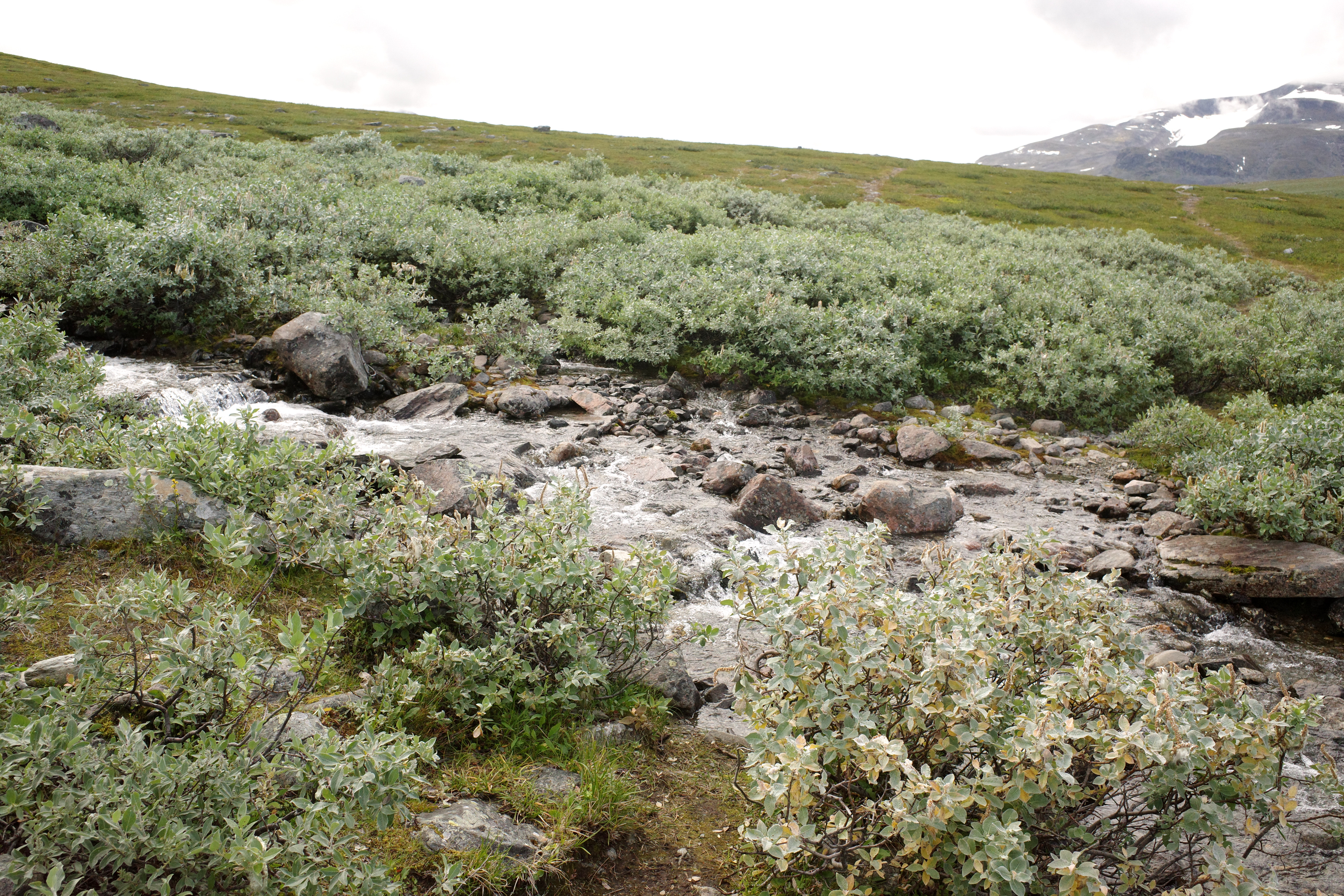 R0003471.jpg