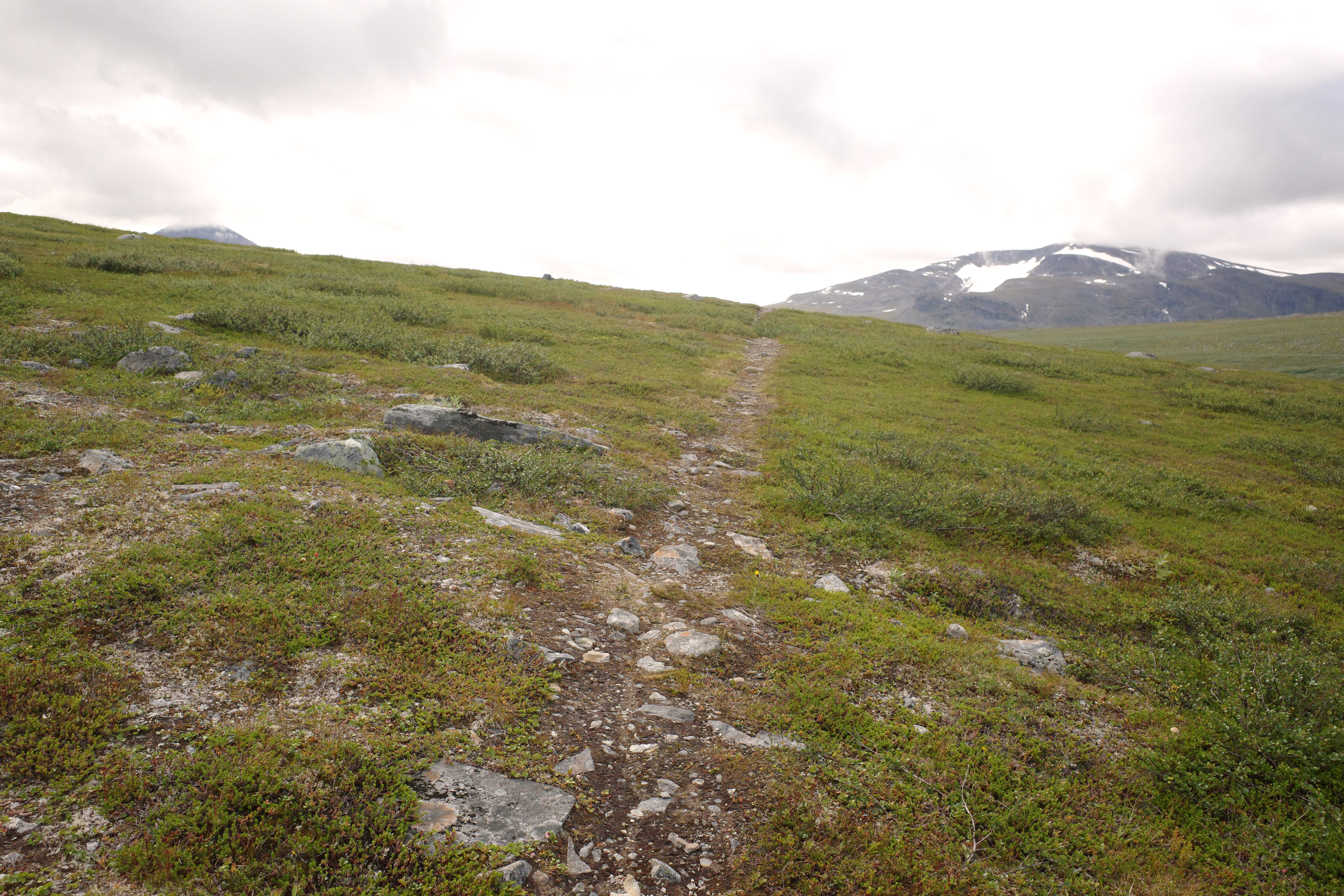 R0003475.jpg