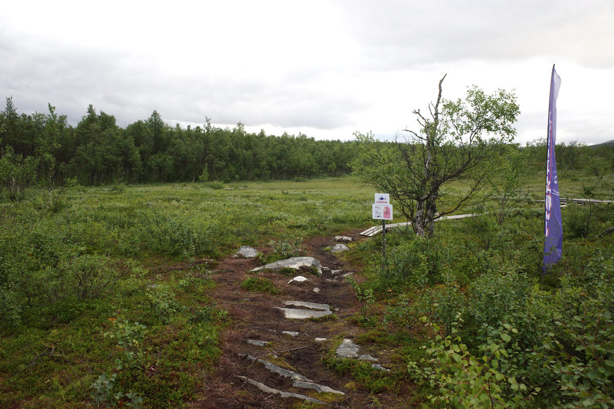 R0003336.jpg