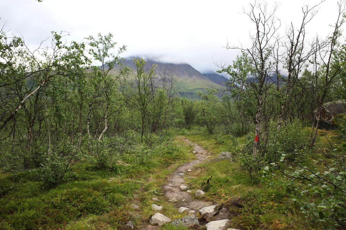 R0003347.jpg