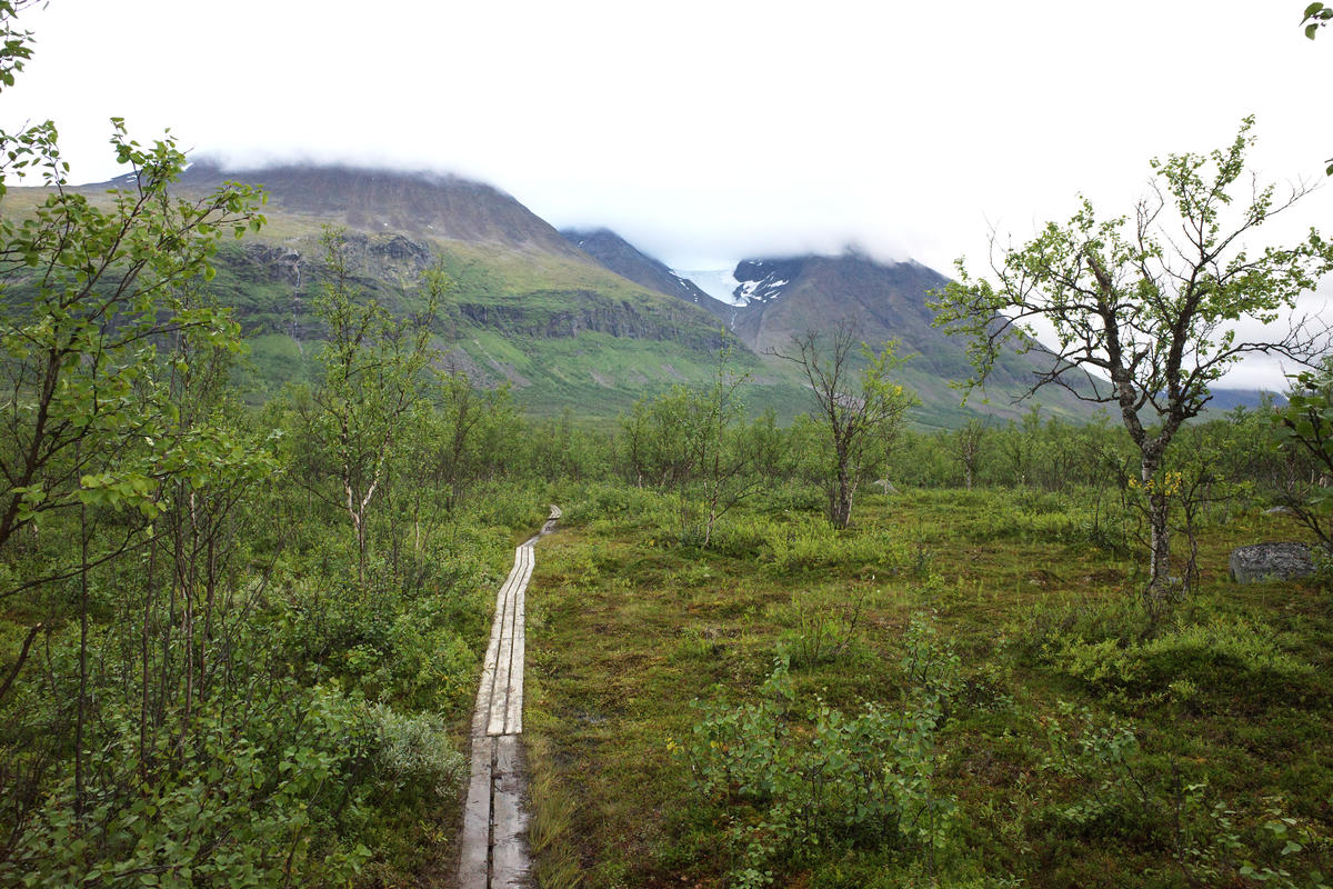 R0003353.jpg