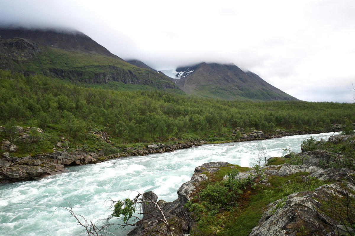 R0003382.jpg