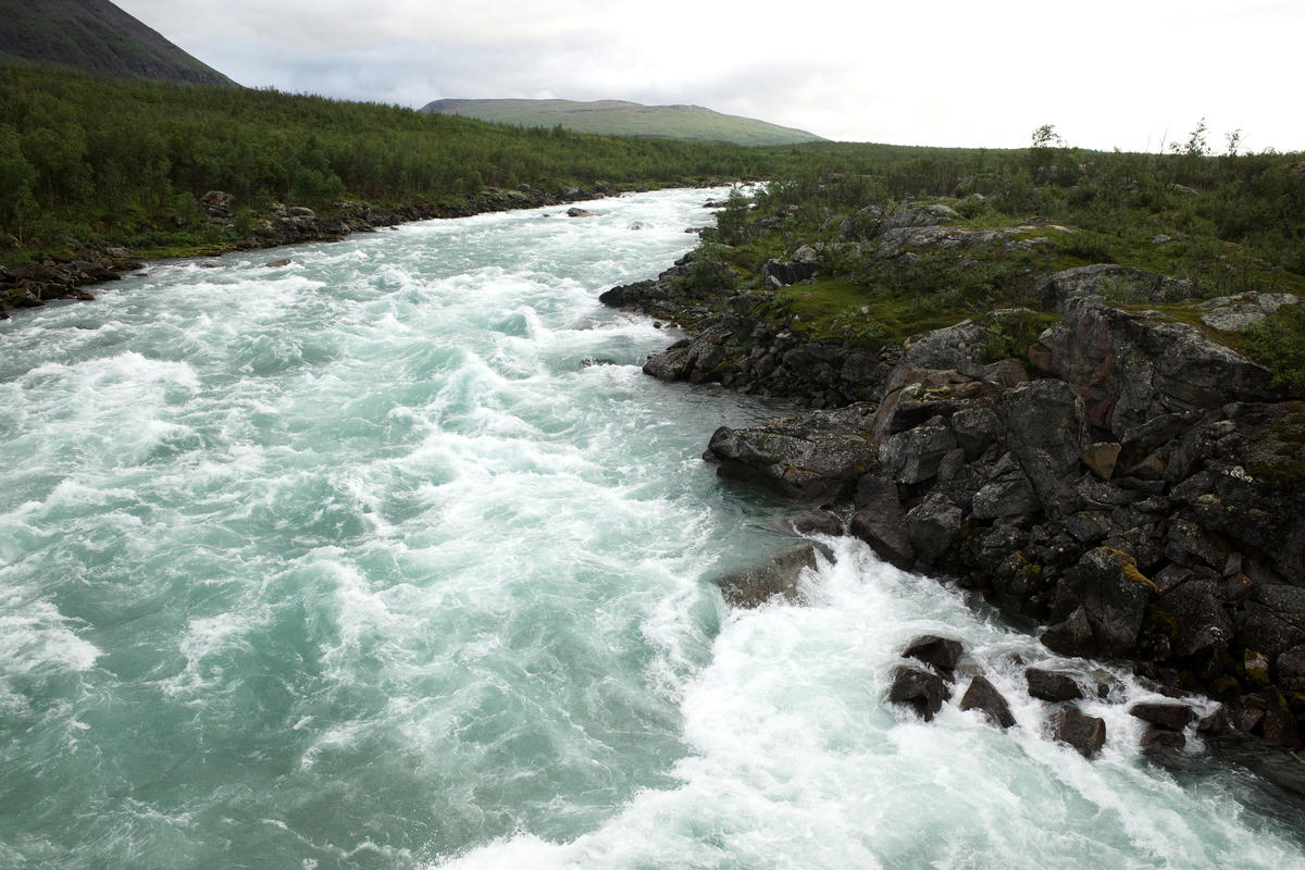 R0003391.jpg