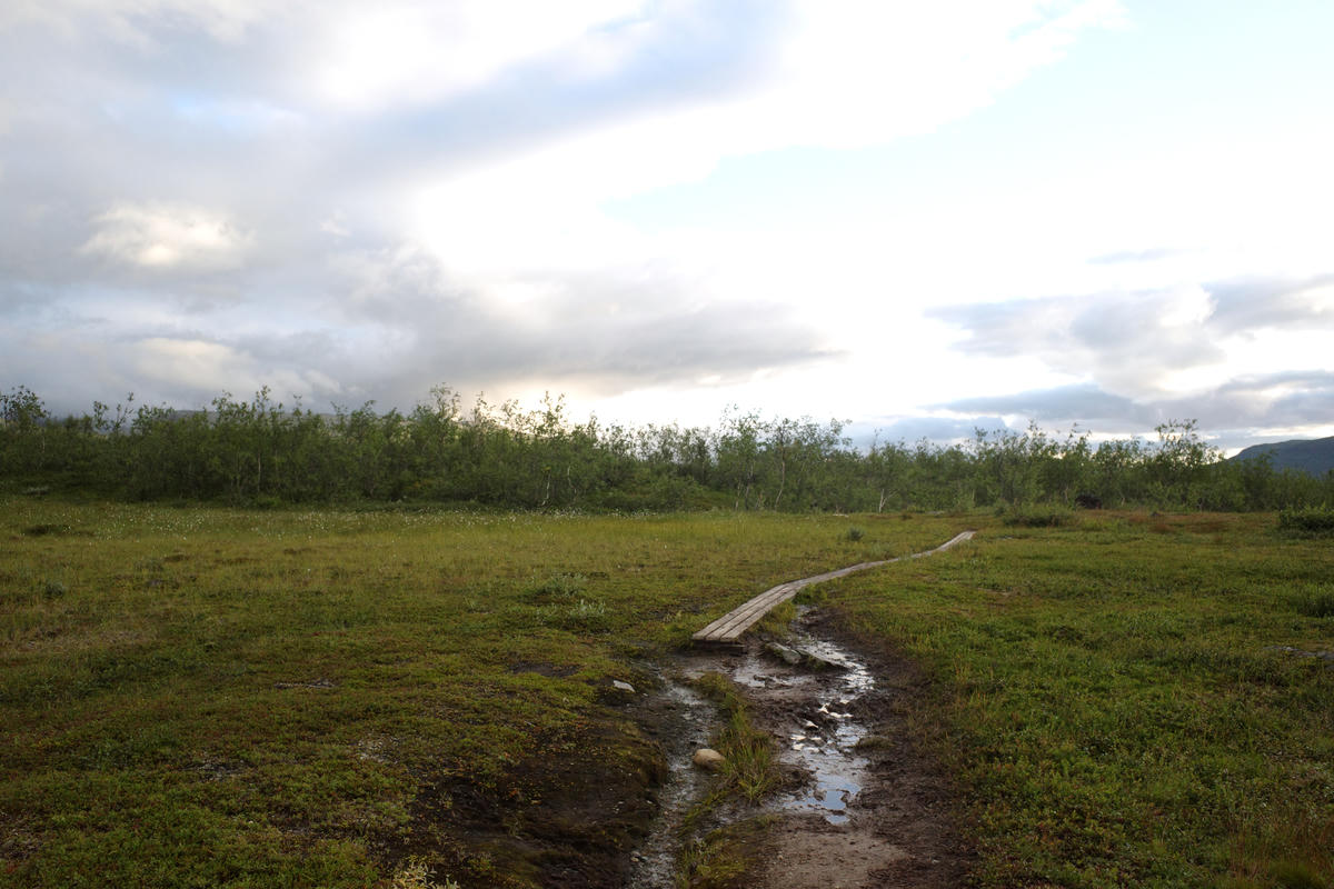 R0003404.jpg