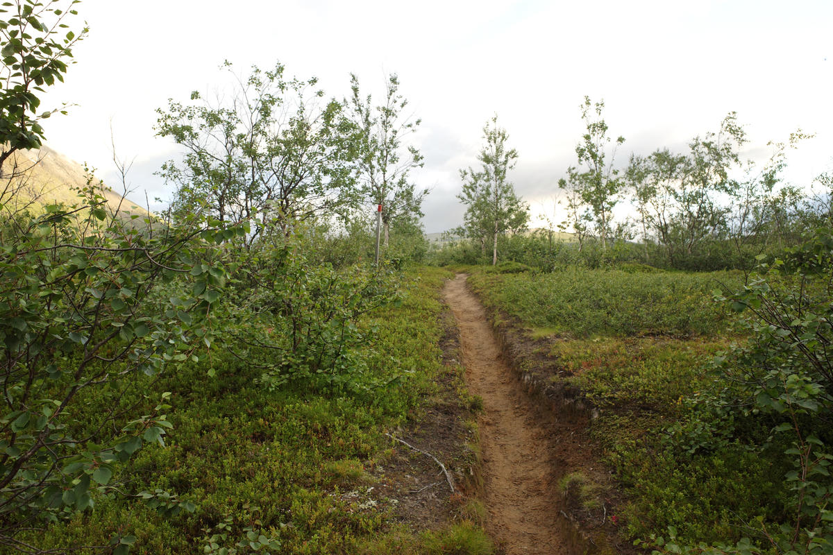 R0003409.jpg