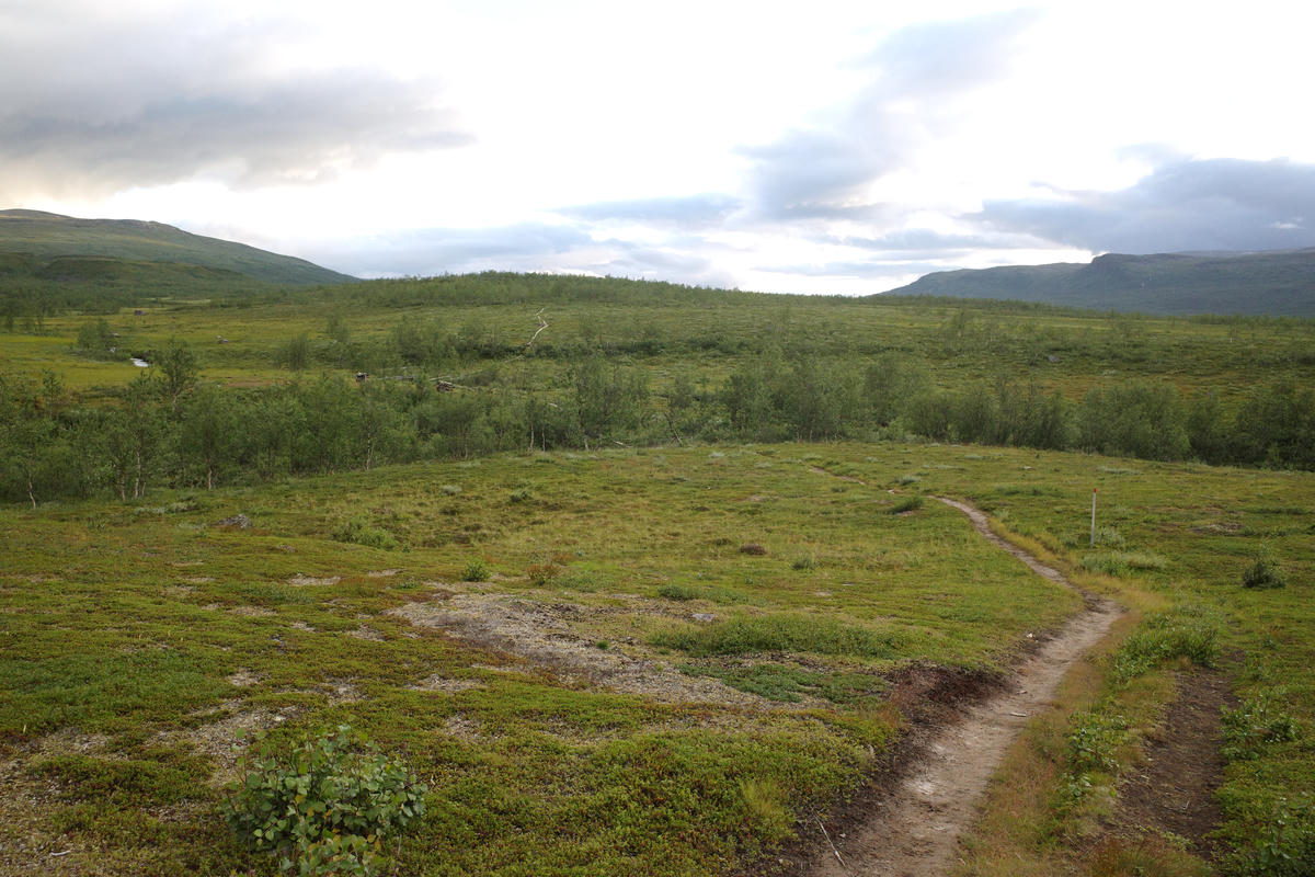 R0003413.jpg