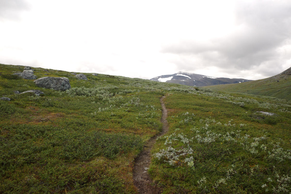 R0003463.jpg