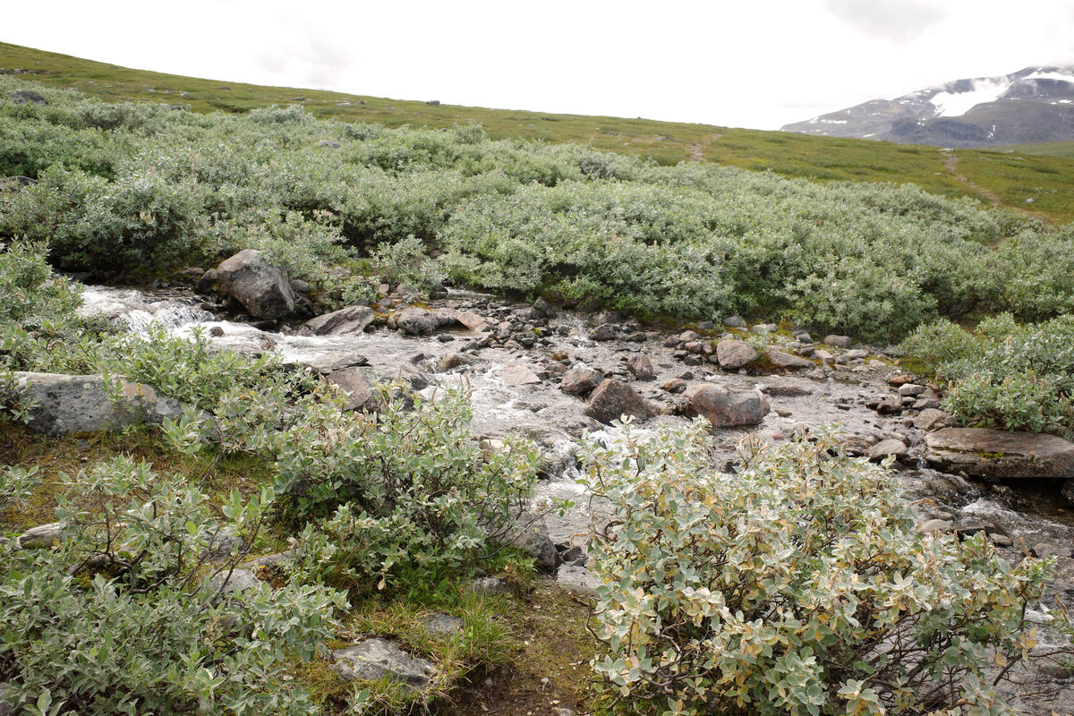 R0003471.jpg