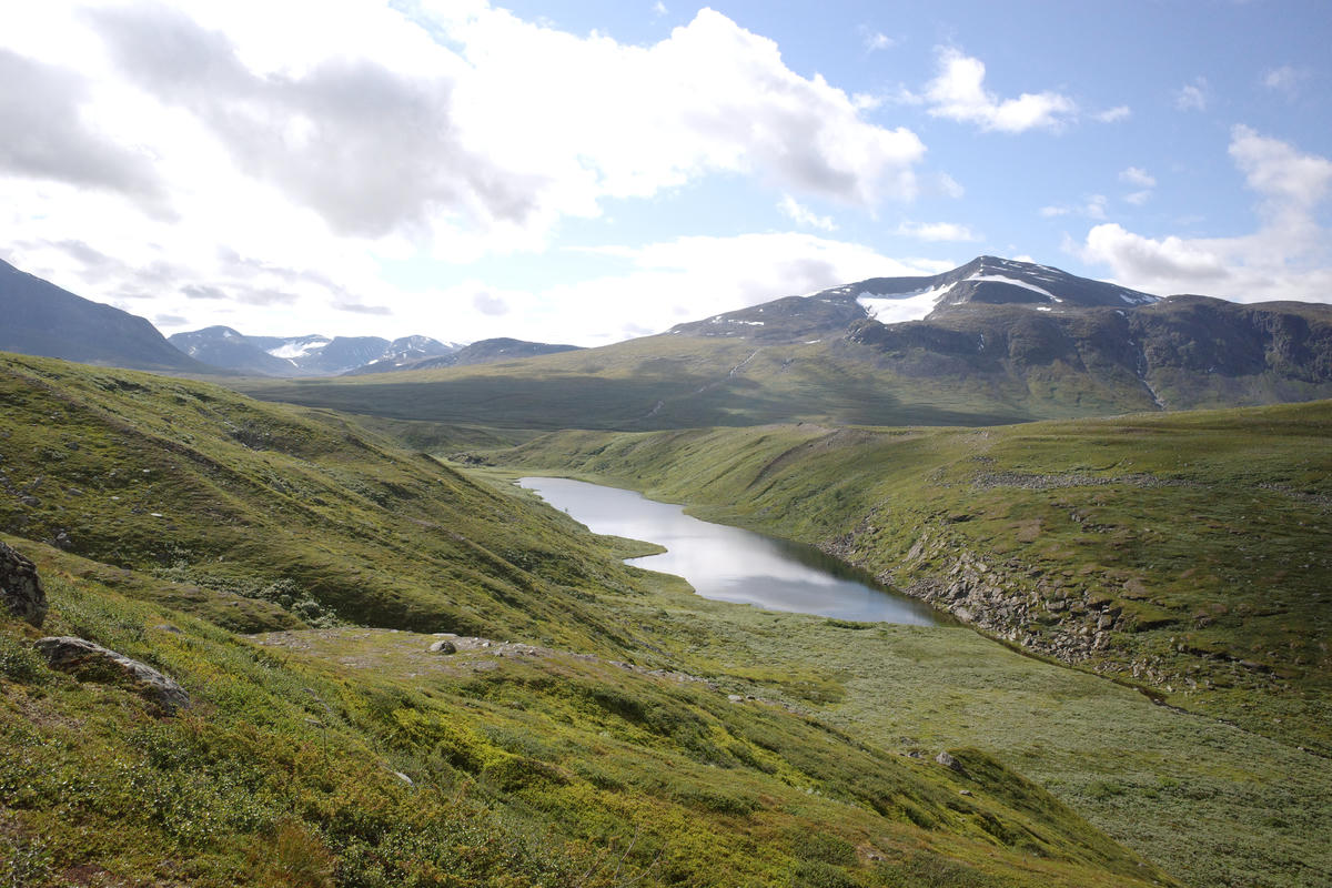 R0003479.jpg