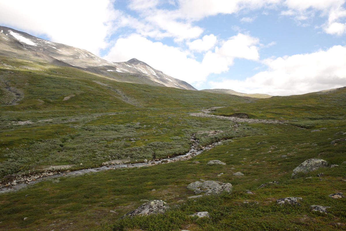 R0003498.jpg