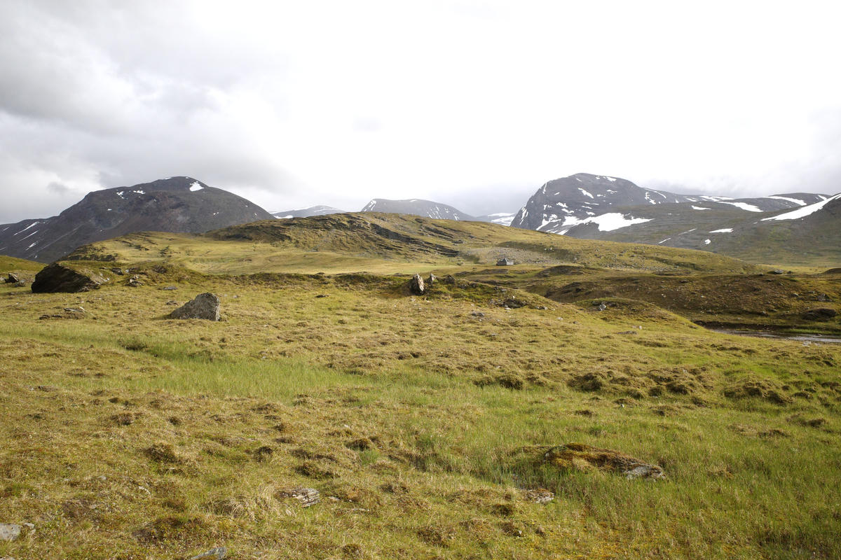 R0003527.jpg
